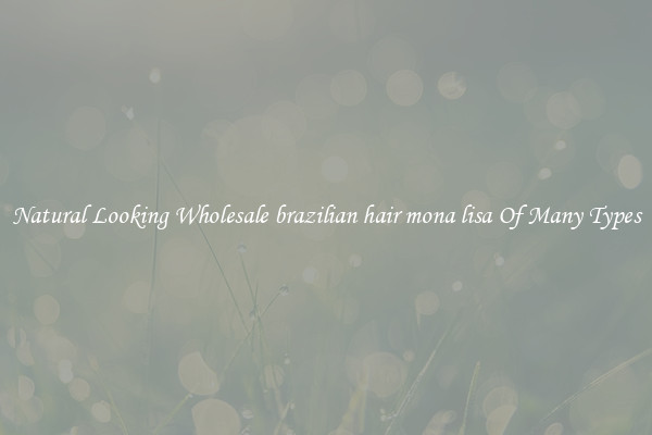 Natural Looking Wholesale brazilian hair mona lisa Of Many Types