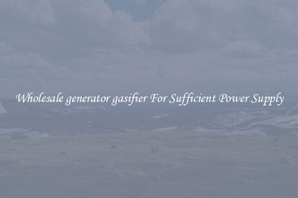 Wholesale generator gasifier For Sufficient Power Supply