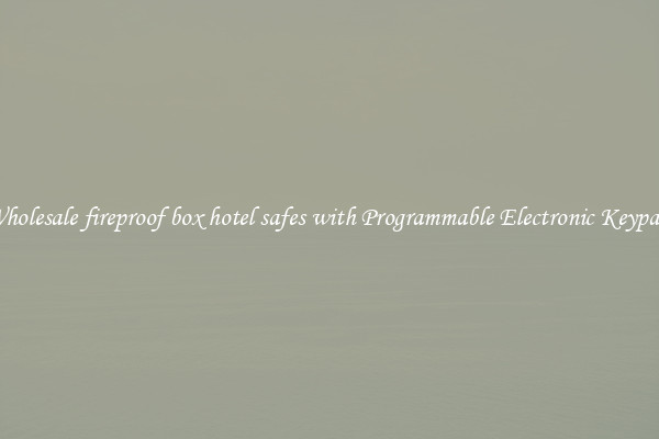 Wholesale fireproof box hotel safes with Programmable Electronic Keypad 