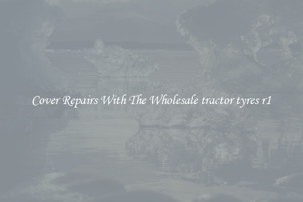  Cover Repairs With The Wholesale tractor tyres r1 