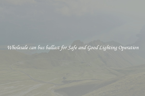 Wholesale can bus ballast for Safe and Good Lighting Operation