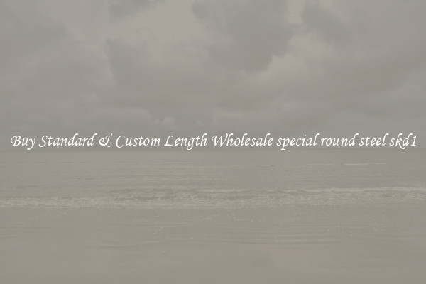 Buy Standard & Custom Length Wholesale special round steel skd1