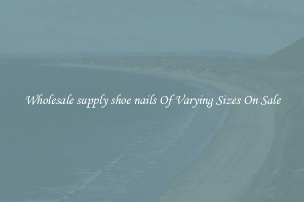 Wholesale supply shoe nails Of Varying Sizes On Sale