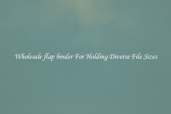 Wholesale flap binder For Holding Diverse File Sizes