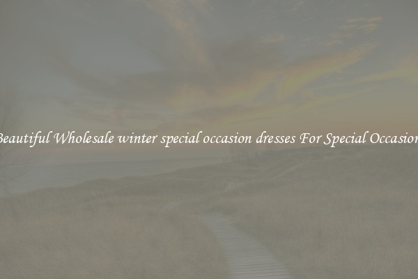 Beautiful Wholesale winter special occasion dresses For Special Occasions