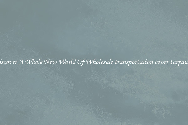 Discover A Whole New World Of Wholesale transportation cover tarpaulin