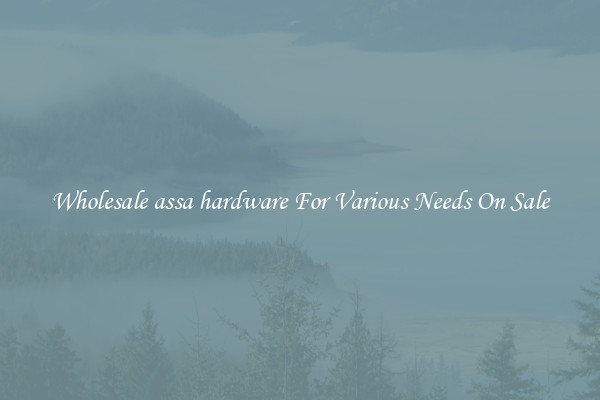 Wholesale assa hardware For Various Needs On Sale