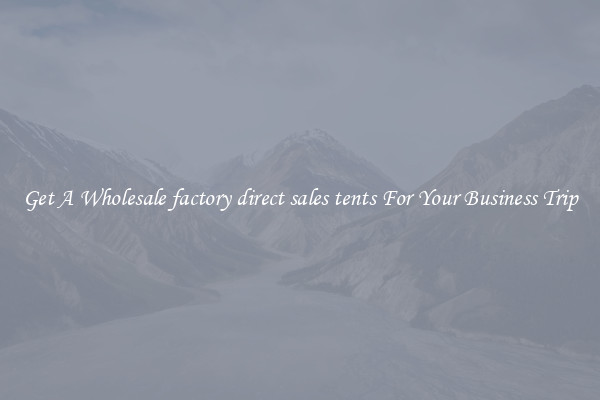 Get A Wholesale factory direct sales tents For Your Business Trip