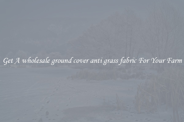 Get A wholesale ground cover anti grass fabric For Your Farm