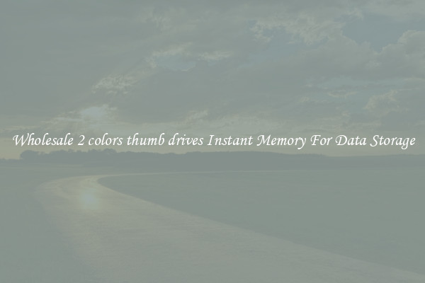 Wholesale 2 colors thumb drives Instant Memory For Data Storage