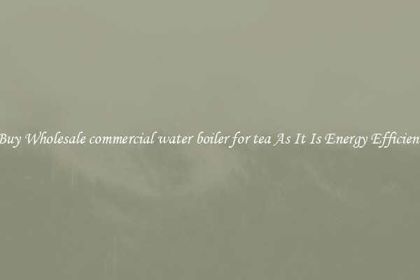 Buy Wholesale commercial water boiler for tea As It Is Energy Efficient