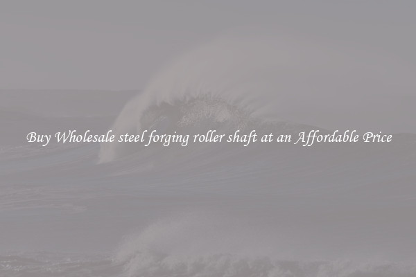 Buy Wholesale steel forging roller shaft at an Affordable Price