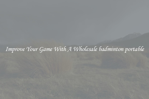 Improve Your Game With A Wholesale badminton portable