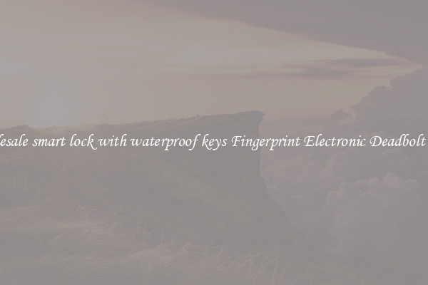 Wholesale smart lock with waterproof keys Fingerprint Electronic Deadbolt Door 