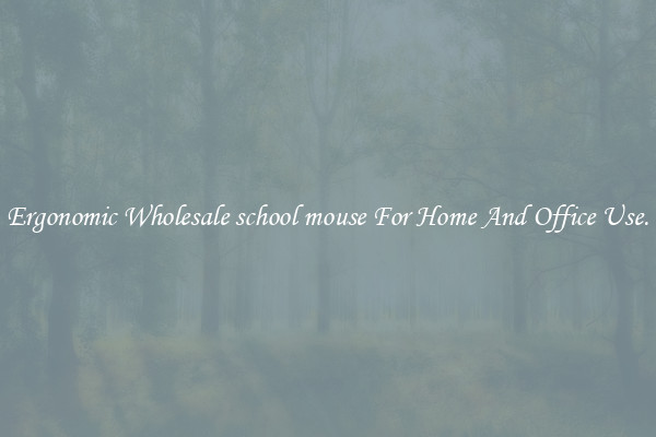 Ergonomic Wholesale school mouse For Home And Office Use.