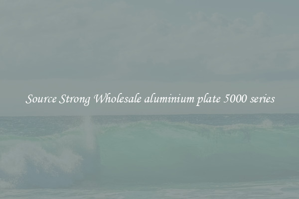 Source Strong Wholesale aluminium plate 5000 series