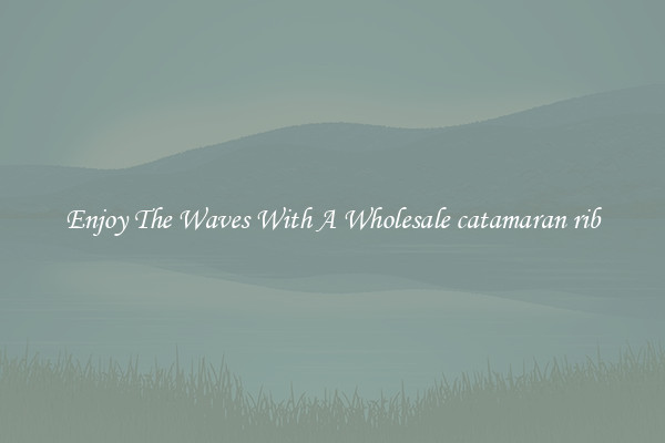 Enjoy The Waves With A Wholesale catamaran rib