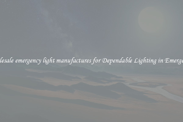 Wholesale emergency light manufactures for Dependable Lighting in Emergencies