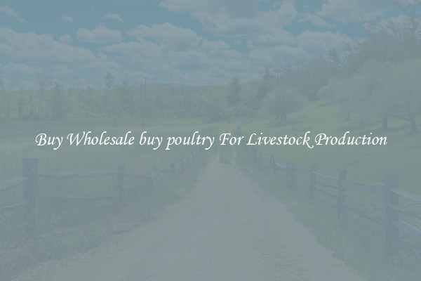 Buy Wholesale buy poultry For Livestock Production